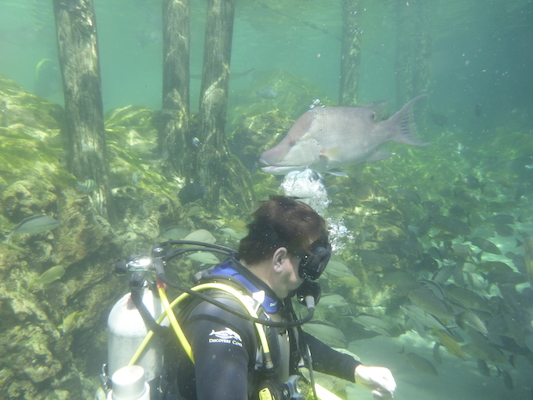 P1010509 (02-15-2015 13:48)