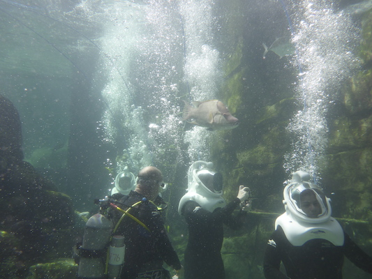 P1010510 (02-15-2015 13:48)