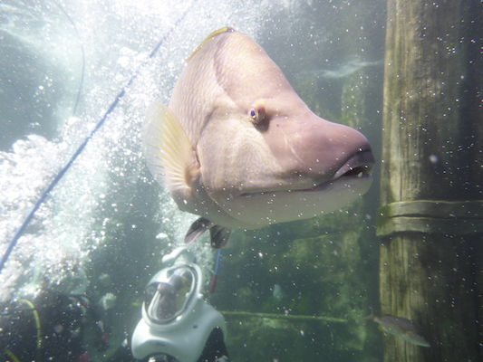 P1010512 (02-15-2015 13:48)