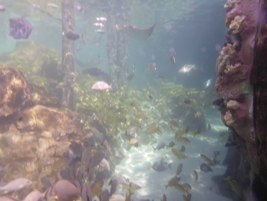 P1010514 (02-15-2015 13:49)