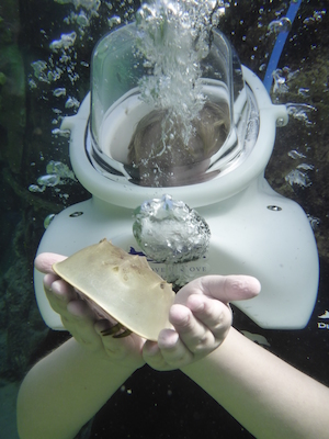 P1010515 (02-15-2015 13:50)