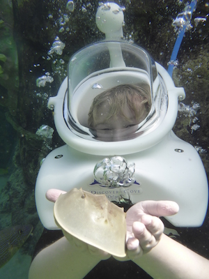 P1010516 (02-15-2015 13:50)