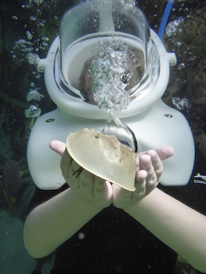 P1010517 (02-15-2015 13:50)