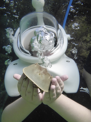 P1010518 (02-15-2015 13:50)