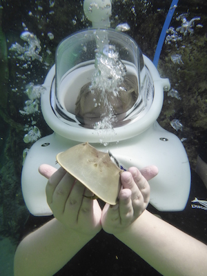 P1010519 (02-15-2015 13:50)