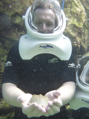 P1010520 (02-15-2015 13:50)