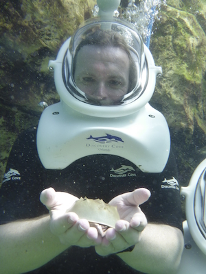 P1010521 (02-15-2015 13:50)