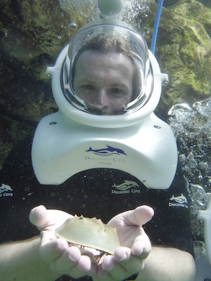 P1010522 (02-15-2015 13:50)