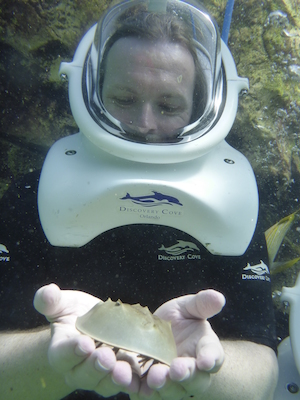 P1010523 (02-15-2015 13:50)