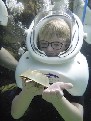 P1010524 (02-15-2015 13:51)