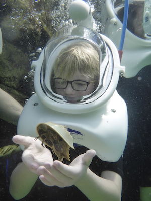 P1010525 (02-15-2015 13:51)