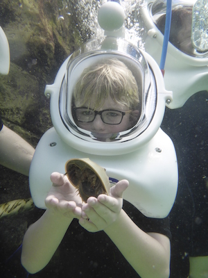 P1010526 (02-15-2015 13:51)