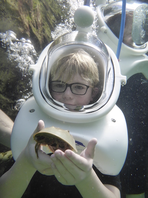 P1010528 (02-15-2015 13:51)