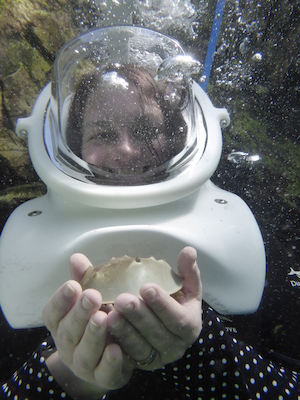 P1010529 (02-15-2015 13:51)