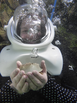 P1010531 (02-15-2015 13:51)