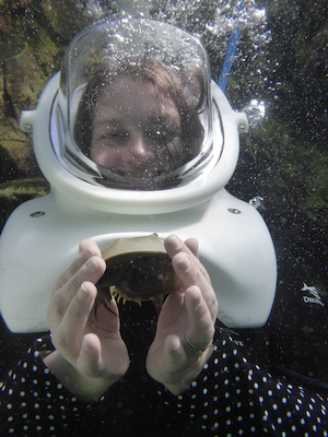 P1010532 (02-15-2015 13:51)