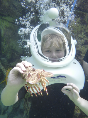 P1010533 (02-15-2015 13:51)