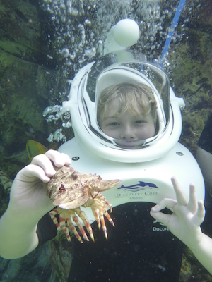 P1010534 (02-15-2015 13:51)