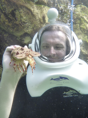 P1010535 (02-15-2015 13:52)