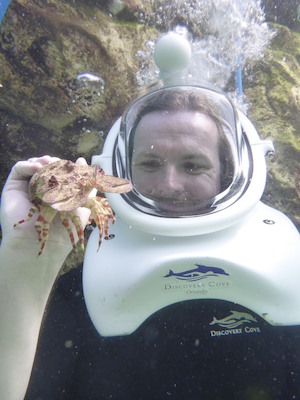 P1010536 (02-15-2015 13:52)