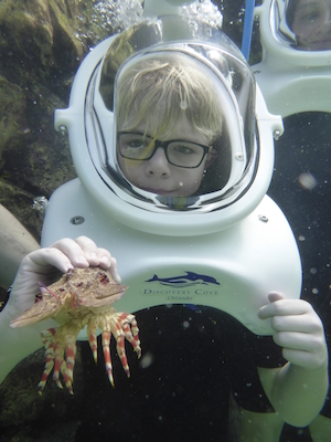 P1010537 (02-15-2015 13:52)