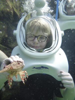 P1010538 (02-15-2015 13:52)