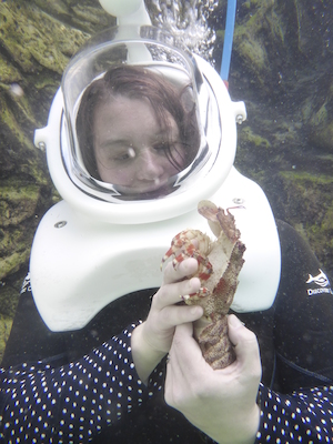 P1010539 (02-15-2015 13:52)