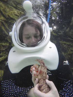 P1010540 (02-15-2015 13:52)