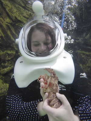 P1010541 (02-15-2015 13:52)