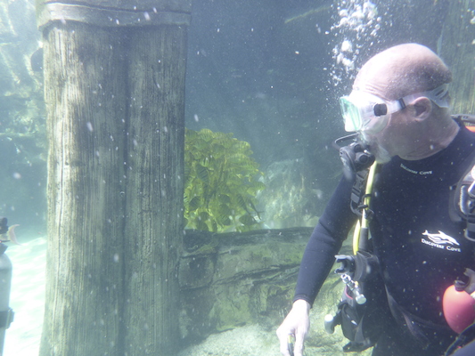 P1010542 (02-15-2015 13:53)