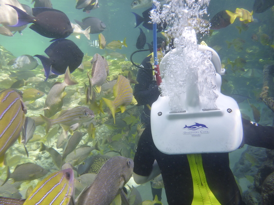 P1010547 (02-15-2015 13:55)