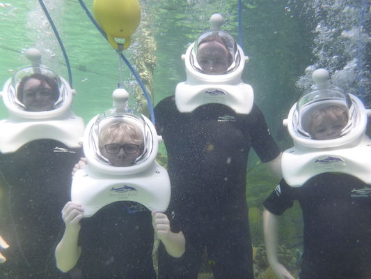 P1010559 (02-15-2015 13:58)