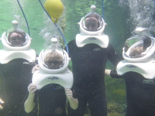 P1010560 (02-15-2015 13:58)