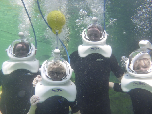 P1010561 (02-15-2015 13:58)