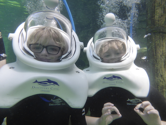 P1010562 (02-15-2015 13:59)