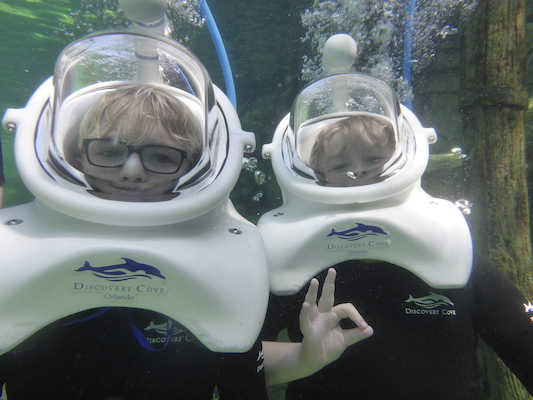 P1010563 (02-15-2015 13:59)