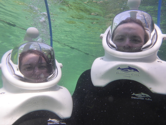 P1010564 (02-15-2015 13:59)