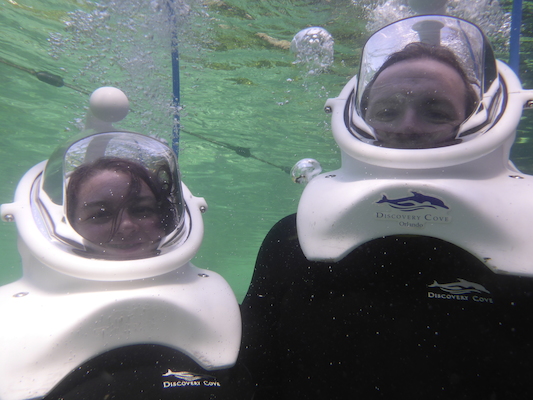 P1010565 (02-15-2015 13:59)