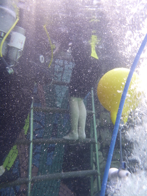 P1010568 (02-15-2015 14:00)