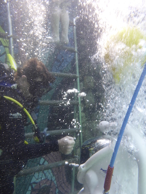 P1010569 (02-15-2015 14:00)