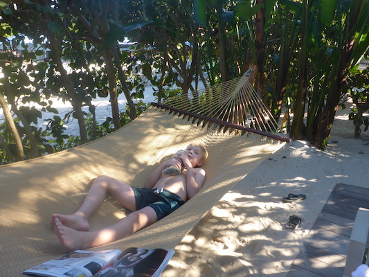 P1010592 (02-15-2015 16:01)