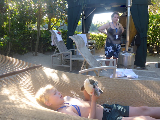 P1010593 (02-15-2015 16:01)