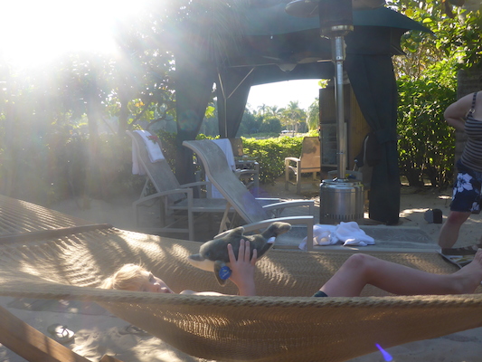 P1010594 (02-15-2015 16:01)