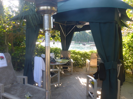 P1010595 (02-15-2015 16:02)