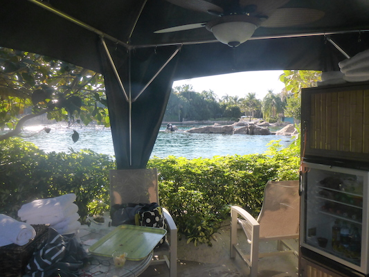 P1010596 (02-15-2015 16:02)