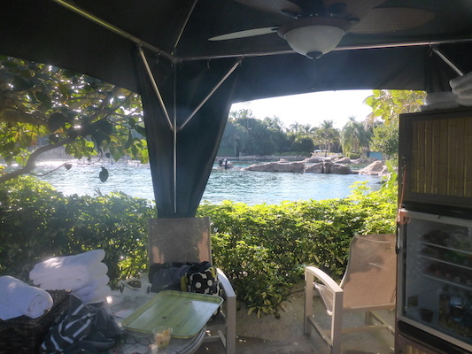 P1010597 (02-15-2015 16:02)