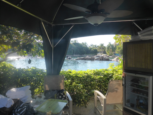 P1010598 (02-15-2015 16:02)