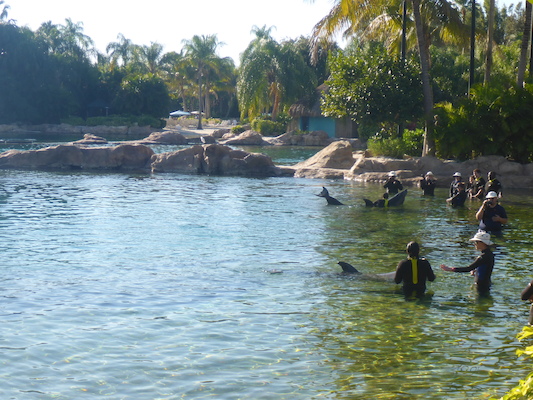 P1010599 (02-15-2015 16:02)