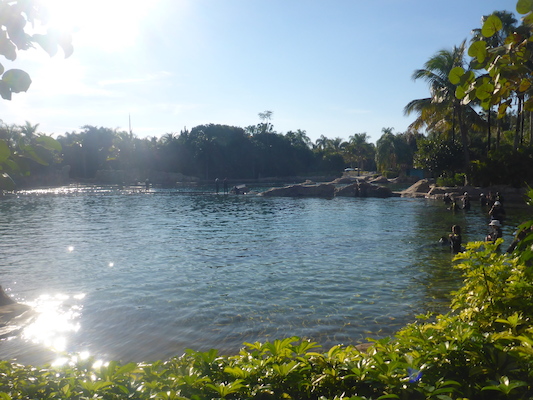 P1010600 (02-15-2015 16:02)