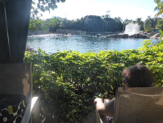 P1010601 (02-15-2015 16:03)